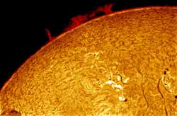 http://astronomyknowhow.com/pics-res/sun-hydrogen-alpha.jpg
